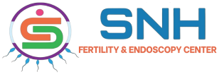 snhfertilitynellore.com